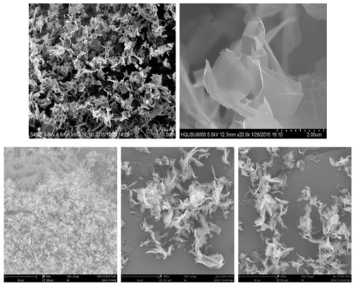 conductive graphene powder