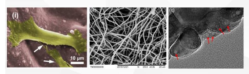 Hydroxyapatite nanopowder