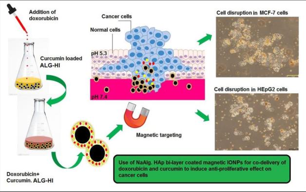 Hydroxyapatite nanopowder