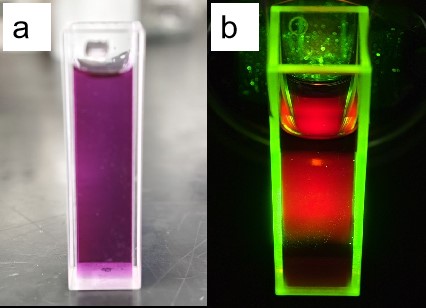 Carbon Quantum Dots