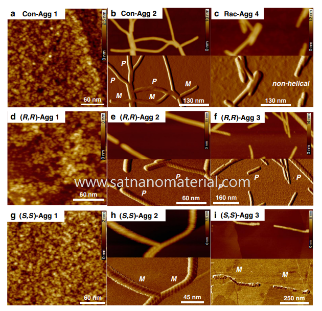 characterize nanoparticle aggregation