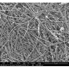 silicon nanowires