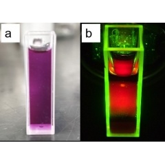 Water-soluble red fluorescence carbon quantum dot dispersion