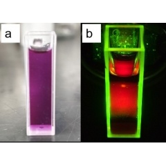 Red light Carbon Quantum Dot (CQD) Nanoparticles