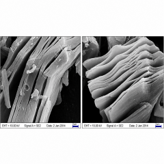 Titanium carbide Ti3C2Tx MXene multilayer clay structure